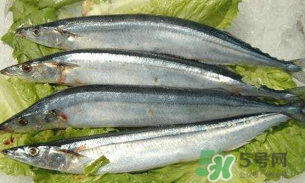 鰣魚和刀魚哪個(gè)貴？長江三鮮哪個(gè)最貴