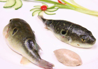 河豚中毒會(huì)產(chǎn)生幻覺(jué)嗎？河豚中毒多久發(fā)作
