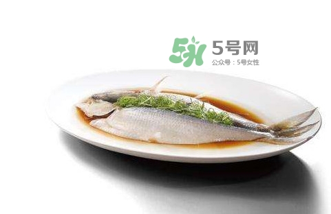鰣魚刺多嗎？鰣魚可以養(yǎng)殖嗎