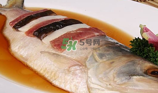 鰣魚多少錢一斤？長江鰣魚多少錢一斤2017