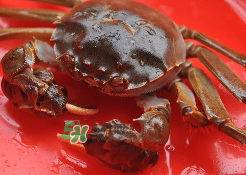 大閘蟹可以帶上高鐵嗎？坐高鐵可以帶大閘蟹嗎？