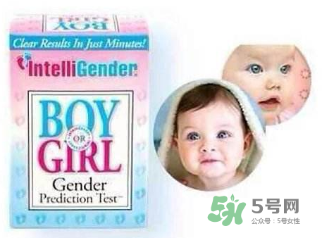 intelligender價格多少？intelligender多少錢？