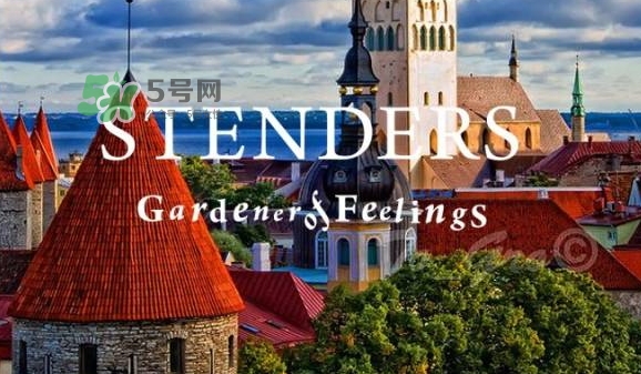 施丹蘭孕婦可以用嗎？stenders施丹蘭懷孕可以用嗎