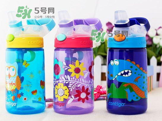 contigo水杯怎么樣？contigo水杯是什么材質(zhì)？