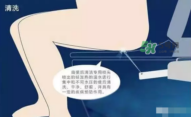 孕期可以蹲著上廁所嗎？孕期上廁所會壓到寶寶嗎？