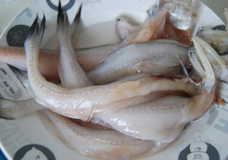 買龍頭魚怎么挑選？冰凍龍頭魚怎么去內臟