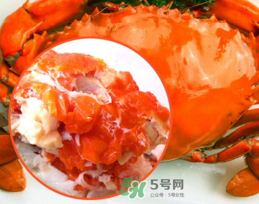 海螃蟹什么時候最肥？海螃蟹什么季節(jié)最好吃？