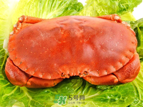 面包蟹和帝王蟹哪個好吃？面包蟹好吃還是帝王蟹好吃？