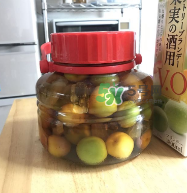 自制青梅酒的做法 青梅酒泡多久可以喝？
