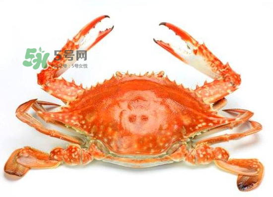 ?花蟹可以放冰箱嗎？花蟹怎么保存才新鮮？