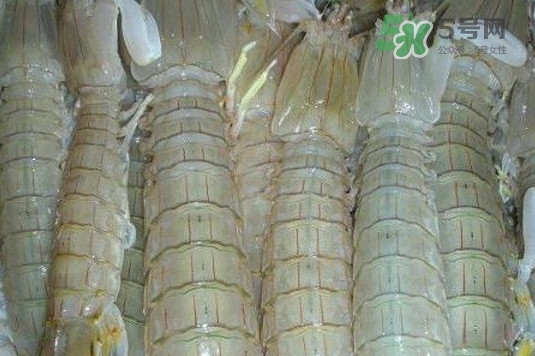 蝦蛄怎么讀？蝦蛄多少錢一斤