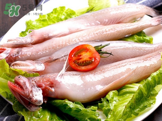 龍頭魚是海魚嗎？龍頭魚是海鮮嗎