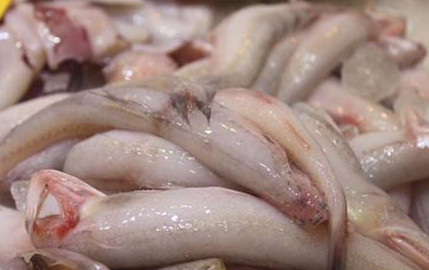 龍頭魚怎么做好吃？龍頭魚干怎么做好吃