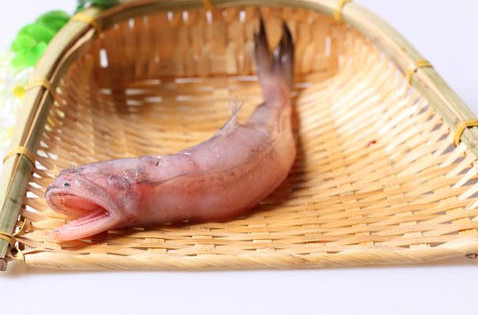 龍頭魚怎么做好吃？龍頭魚干怎么做好吃