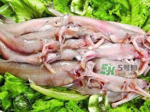龍頭魚(yú)還有別的名嗎？龍頭魚(yú)有哪幾種做法