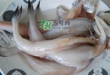 龍頭魚(yú)怎么殺？龍頭魚(yú)怎么處理？