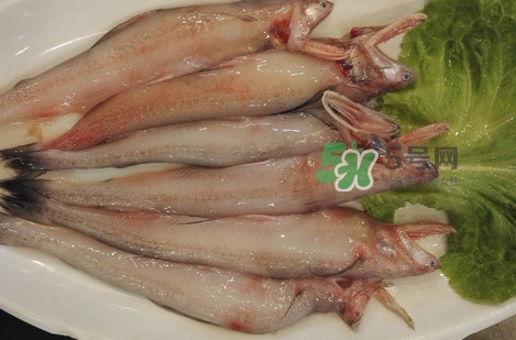 龍頭魚(yú)怎么殺？龍頭魚(yú)怎么處理？