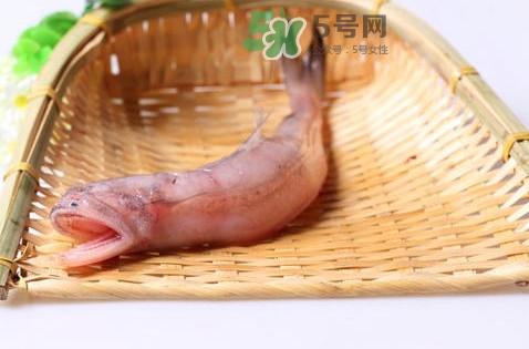 龍頭魚(yú)身是什么神獸？龍頭魚(yú)身是什么寓意
