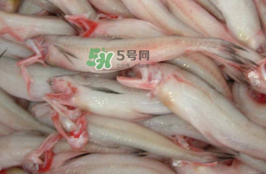 龍頭魚(yú)怎么炸？龍頭魚(yú)怎么做湯