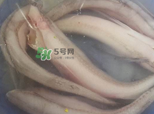 買龍頭魚怎么挑選？冰凍龍頭魚怎么去內(nèi)臟