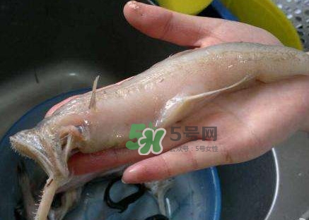 水潺湯怎么做？水潺燉豆腐的做法