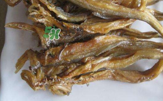 水潺湯怎么做？水潺燉豆腐的做法