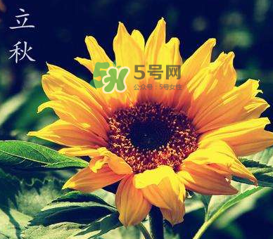 立秋后是不是早晚天氣涼？立秋后天氣有什么變化？