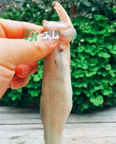 水潺怎么讀？水潺是海鮮嗎
