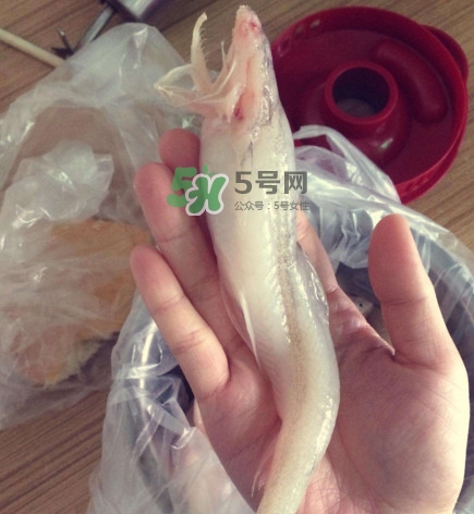 海鮮水潺孕婦可以吃嗎？水潺魚的營養(yǎng)價值