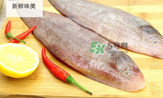 龍利魚(yú)多少錢(qián)一斤？龍利魚(yú)是什么魚(yú)