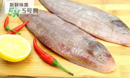 龍利魚(yú)怎么挑選？龍利魚(yú)與越南巴沙魚(yú)的區(qū)別