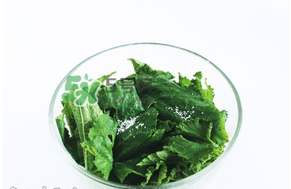 南瓜苗怎么做好吃？南瓜苗怎么撕？