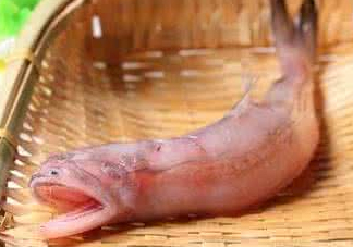 龍頭魚身是什么神獸？龍頭魚身是什么寓意