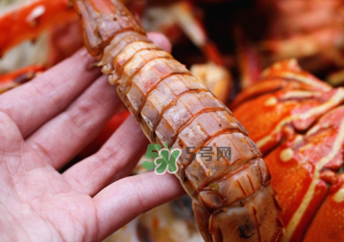 蝦蛄怎么吃？蝦蛄怎么做好吃？