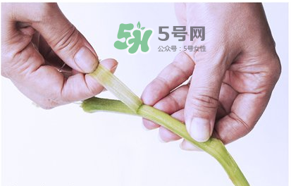 南瓜苗怎么做好吃？南瓜苗怎么撕？