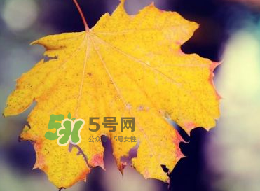 立秋后吃什么好？立秋后怎么養(yǎng)生？