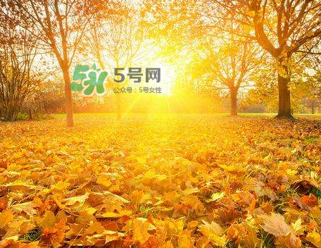 立秋后吃什么好？立秋后怎么養(yǎng)生？