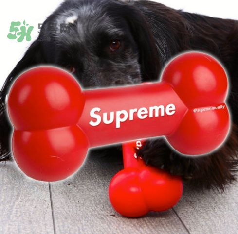 supreme狗骨頭玩具是真的嗎？supreme骨頭玩具會發(fā)售嗎？