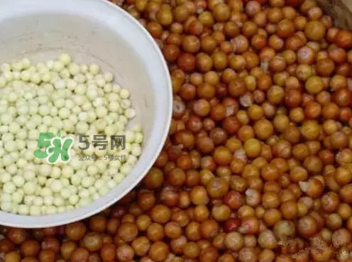 雞頭米一次吃多少合適？雞頭米可以多吃嗎