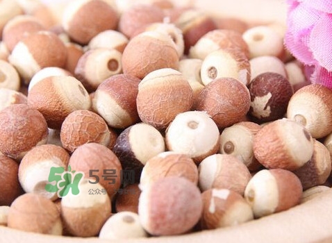 雞頭米是涼性的嗎？雞頭米是哪里的特產(chǎn)