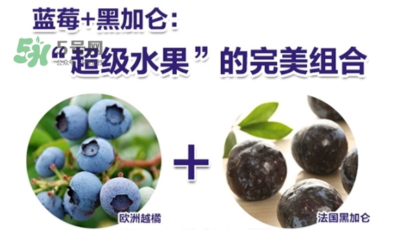 fancl藍莓護眼怎么樣？fancl藍莓護眼和pola護眼哪個好