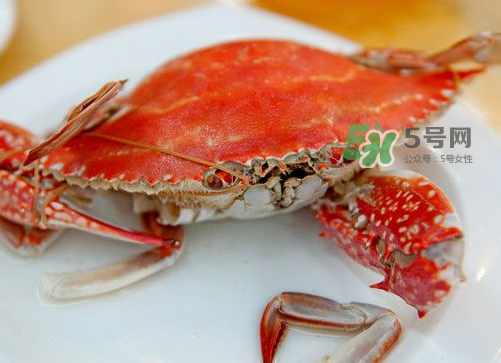 梭子蟹可以清蒸嗎？梭子蟹蒸還是煮？