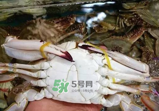 梭子蟹放冷藏還是冷凍？梭子蟹可以放速凍嗎？