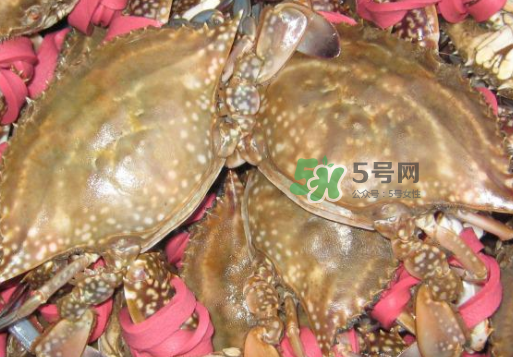 梭子蟹放冷藏還是冷凍？梭子蟹可以放速凍嗎？