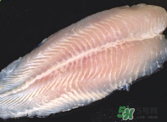 龍利魚有刺嗎？龍利魚有魚鱗嗎