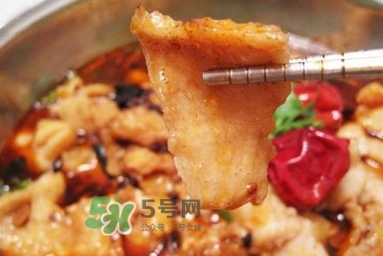 龍利魚(yú)有寄生蟲(chóng)嗎？龍利魚(yú)有假的嗎
