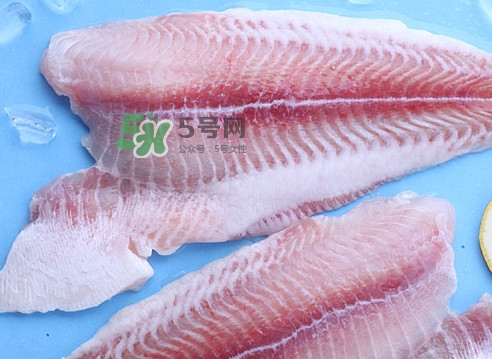 龍利魚是海魚嗎？龍利魚是海鮮嗎