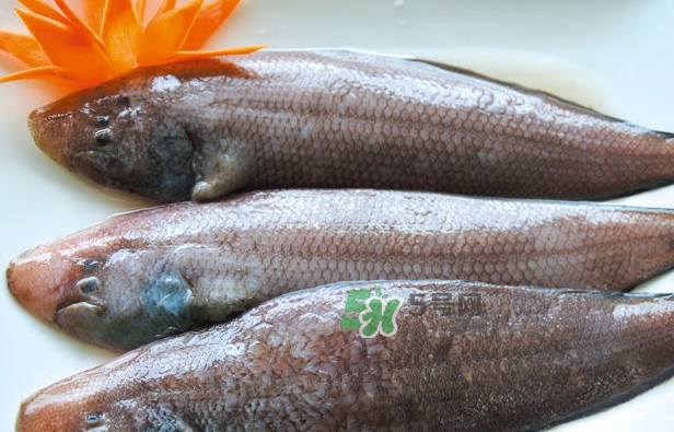 龍利魚(yú)是發(fā)物嗎？懷孕能不能吃龍利魚(yú)