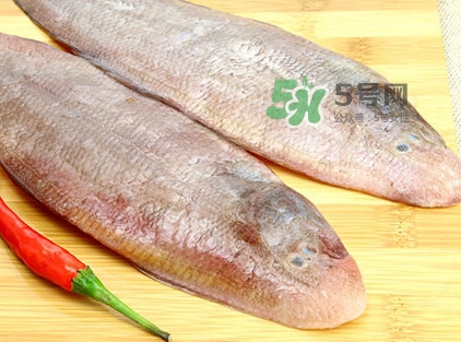 寶寶多大能吃龍利魚？幾個(gè)月的寶寶可以吃龍利魚
