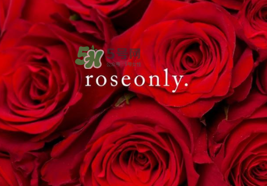 2017七夕禮盒roseonly多少錢？roseonly巨型玫瑰禮盒多少錢？
